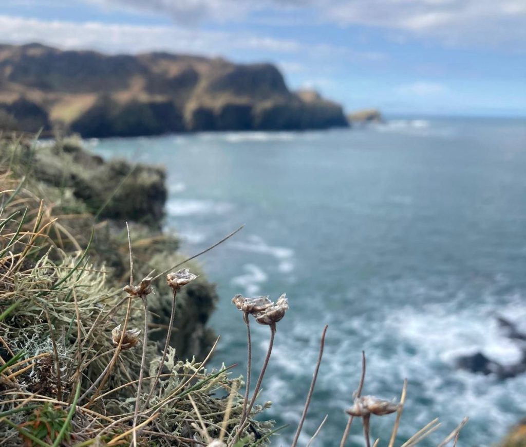 bdb766e2-4d2c-4e2b-b195-1b76df943ec3